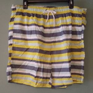 Mens Striped Print Swim Trunks